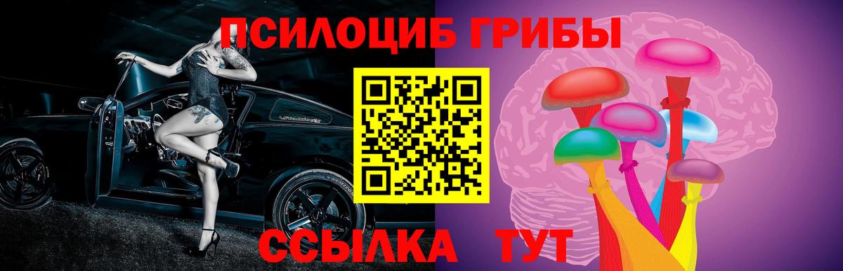 Галлюциногенные грибы Psilocybine cubensis Москва